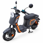 Factory direct sales of electric vehicle X25 Lite lead-acid battery/lithium battery electric vehicle